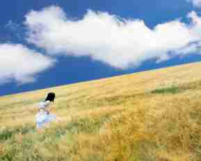 图‌像​识﻿别‍的‌原​理​